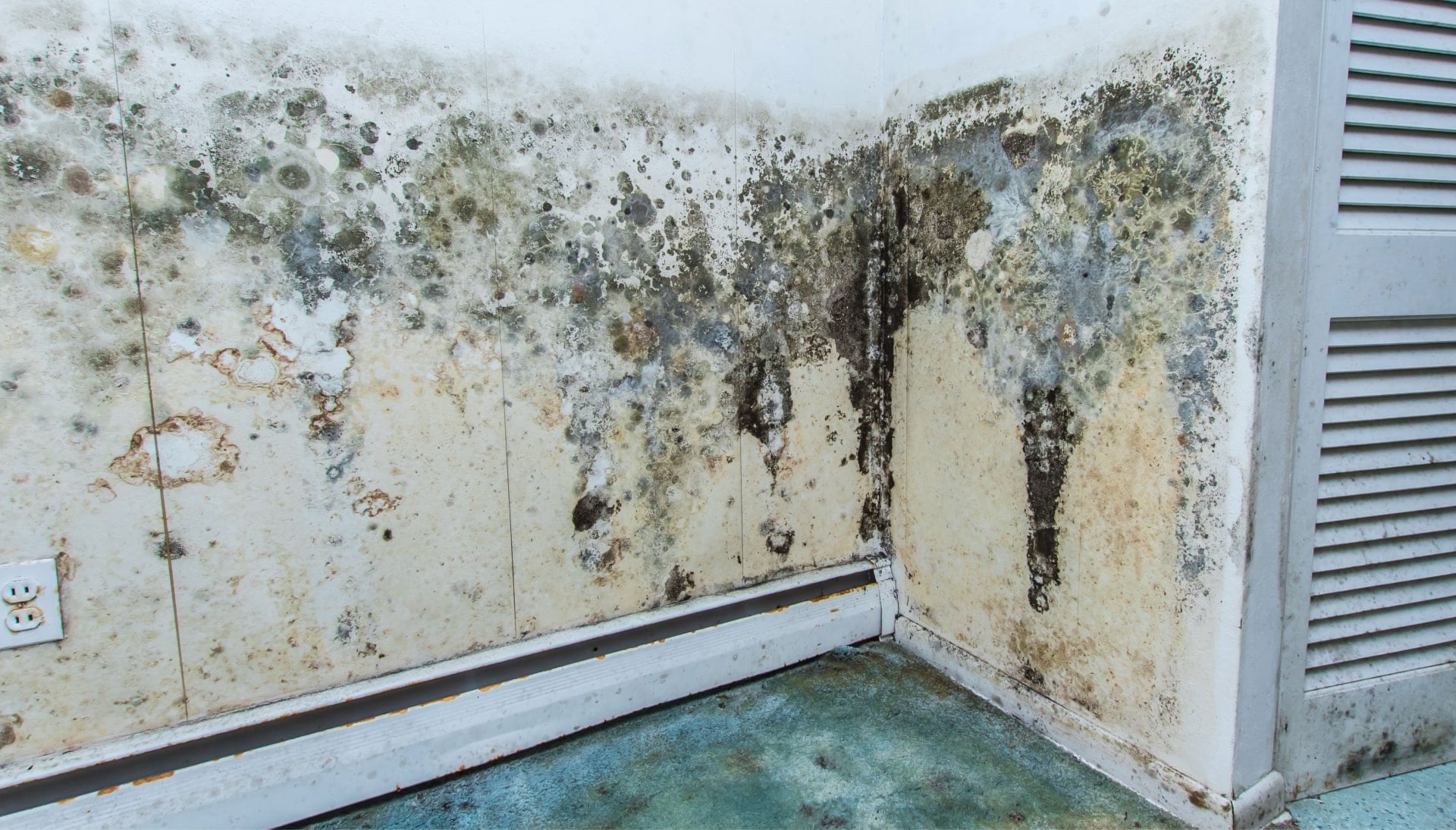 Mold Damage Odor Control Services in Pompano Beach