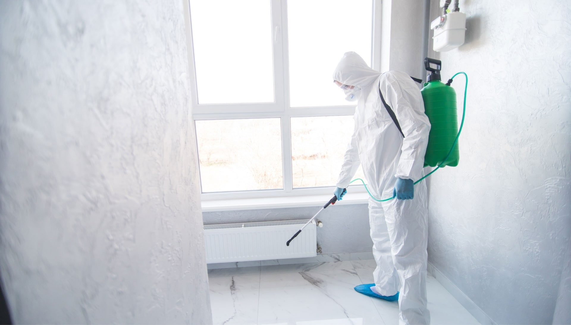 Mold Inspection Services in Pompano Beach